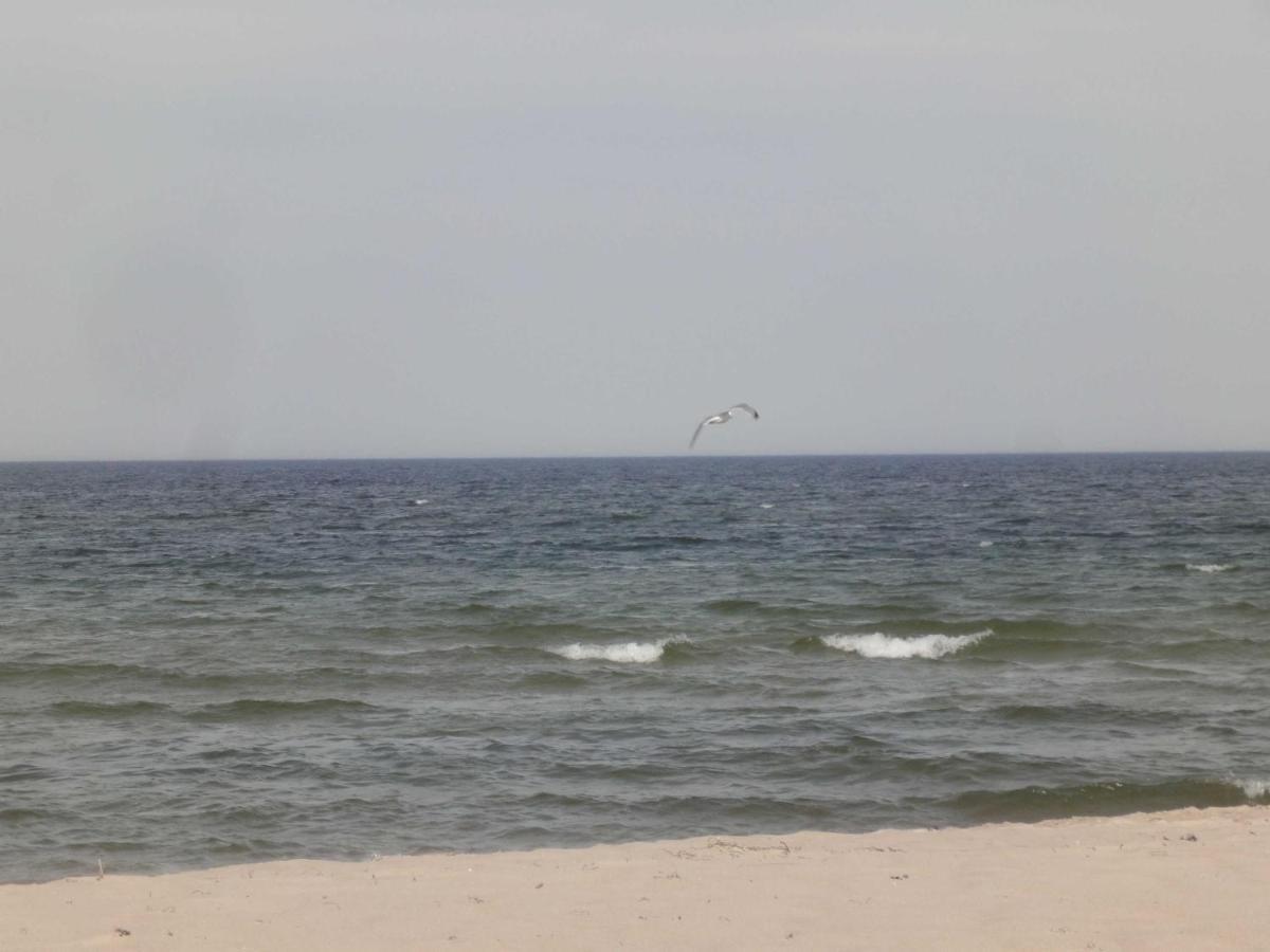 Strand Und Waldhaus Ostseeperle بابي المظهر الخارجي الصورة