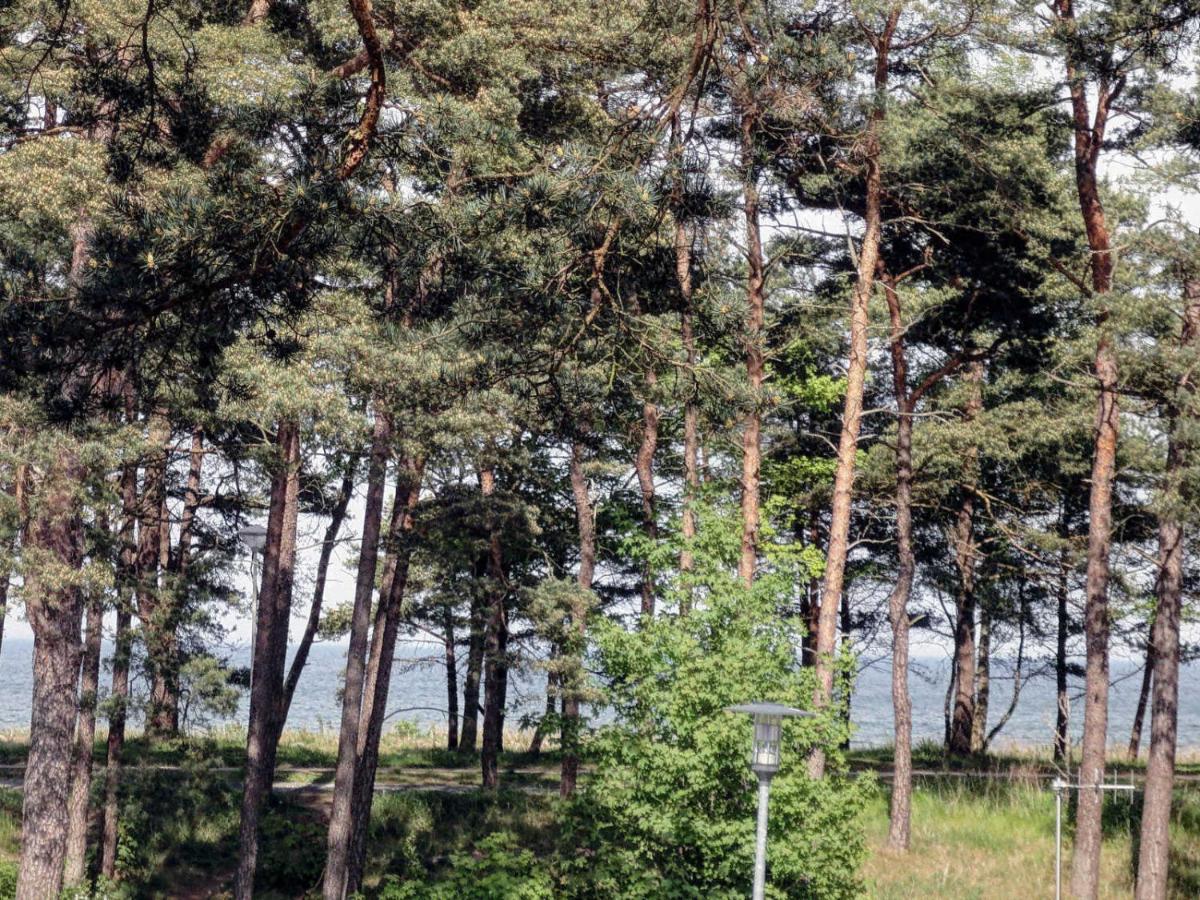 Strand Und Waldhaus Ostseeperle بابي المظهر الخارجي الصورة