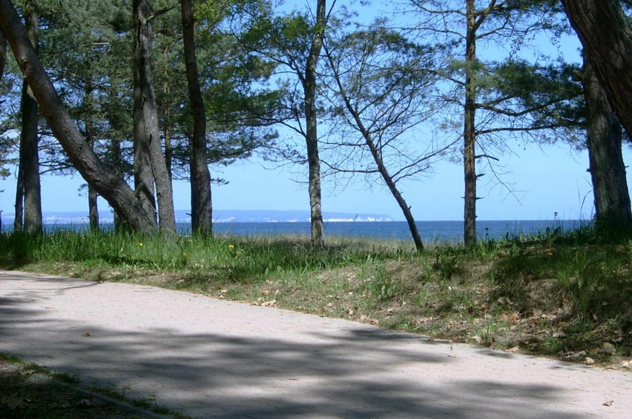 Strand Und Waldhaus Ostseeperle بابي المظهر الخارجي الصورة